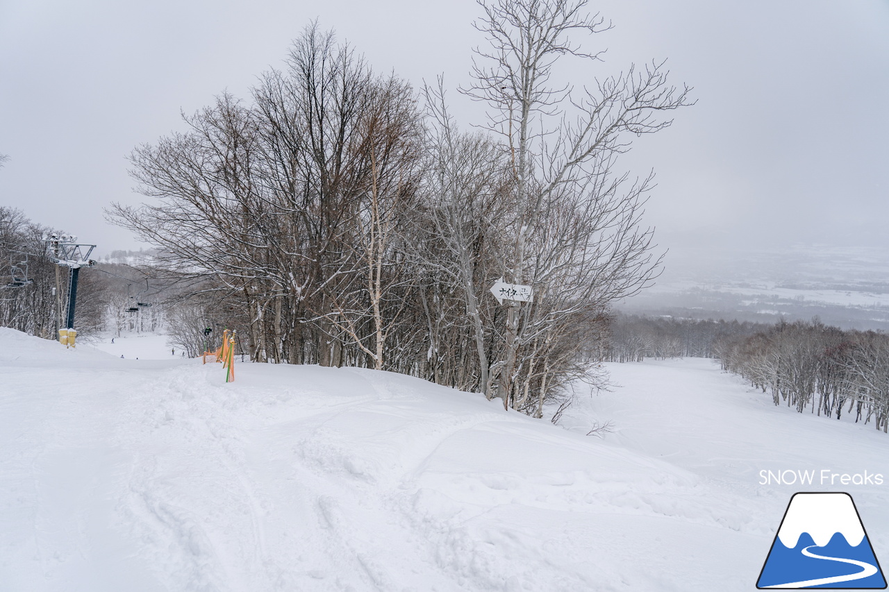 IWANAI RESORT ＆ ニセコの里山｜混雑知らず？！素晴らしい雪質と景色が待つ、ニセコエリアの穴場的スキー場！